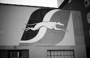 greyhound bus accident